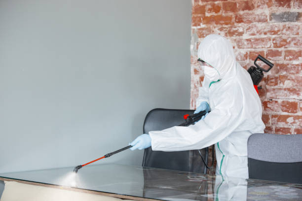 Best Environmental Consulting for Mold Prevention  in Upper Exeter, PA