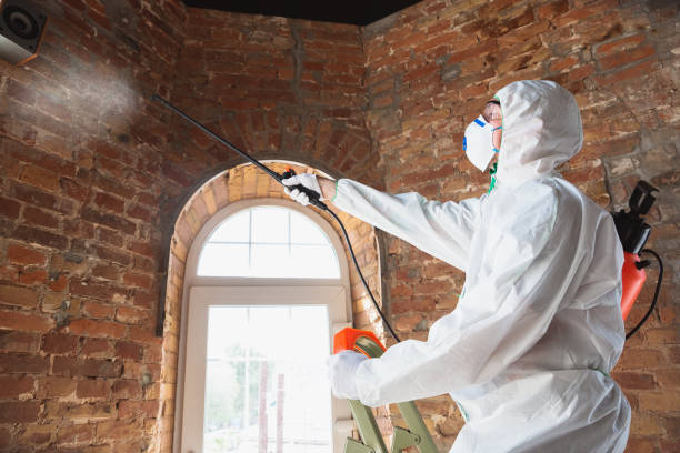 Best Asbestos and Lead Testing During Mold Inspection  in Upper Exeter, PA