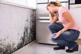 Best Mold Odor Removal Services  in Upper Exeter, PA